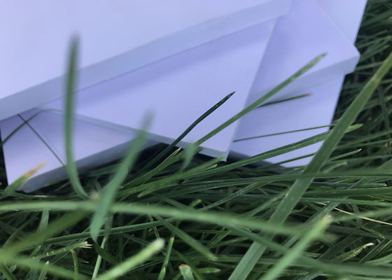 Rigid Durable PVC Celuka Foam Board For Cabinet Sheets / Photo Mounting